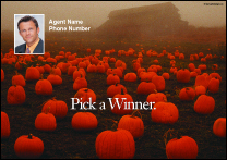 Picture of Seasonal 10